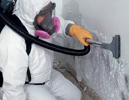  Las Lomas, CA Mold Removal Pros